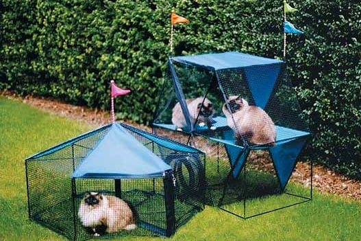 Por Qué las Casas de Juego Son Importantes para los Gatos