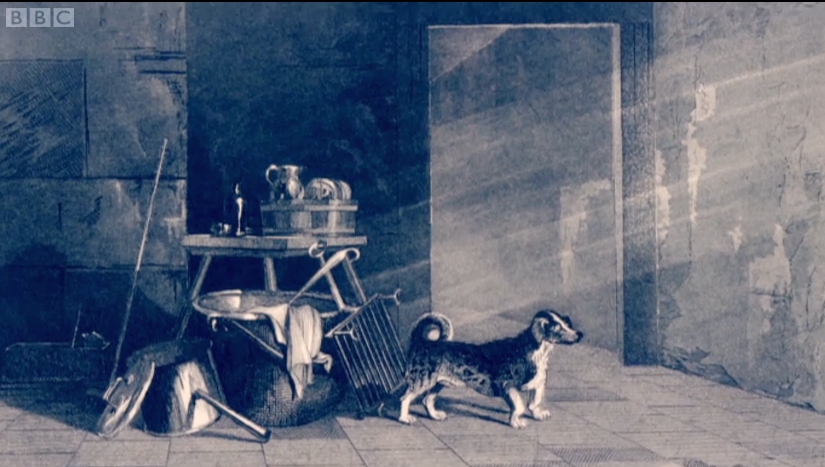 Razas extintas: Turnspit 