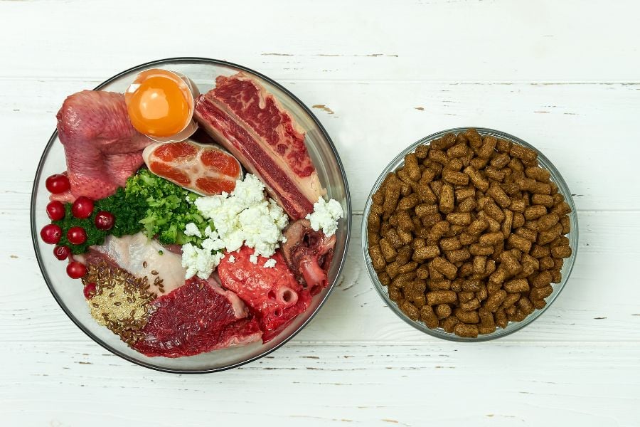 Kibble or Fresh Food? What’s Best for Your Dog?