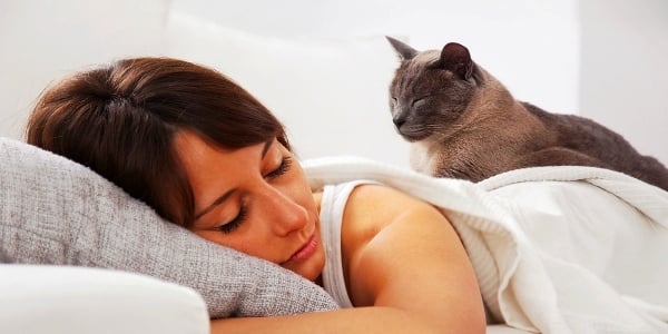 ¿Pueden los gatos saber cuándo estamos enfermos?