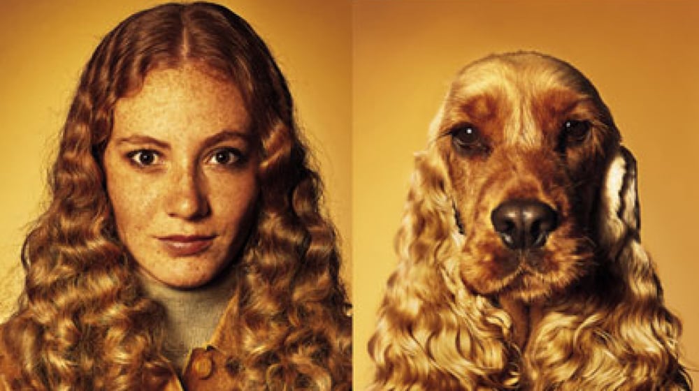 Dog-a-likes: Pets Who Look Like Their Owners