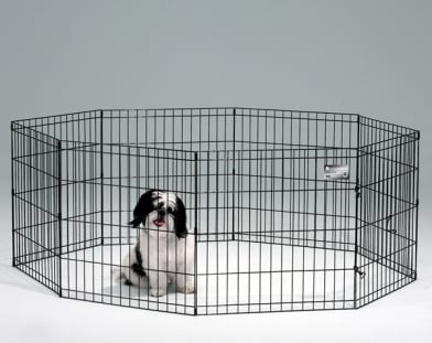 5 Cosas Que Debes Saber Sobre Los Corrales de Ejercicio Para Perros