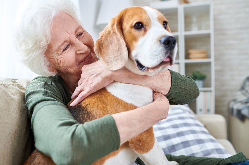 How to help dogs with arthritis