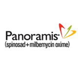 Panoramis