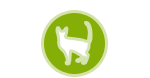 Skin and Wound Care for Cats
