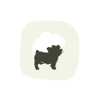 Small Dogs
