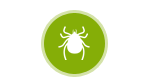 Tick