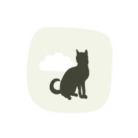 For Cats
