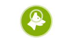 Ear and Eye Care for Dogs