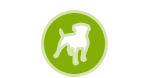 Skin and Wound Care for Dogs