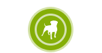 Other Supplements for Dogs