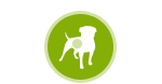 Intestinal, Urinary and Renal Aids for Dogs