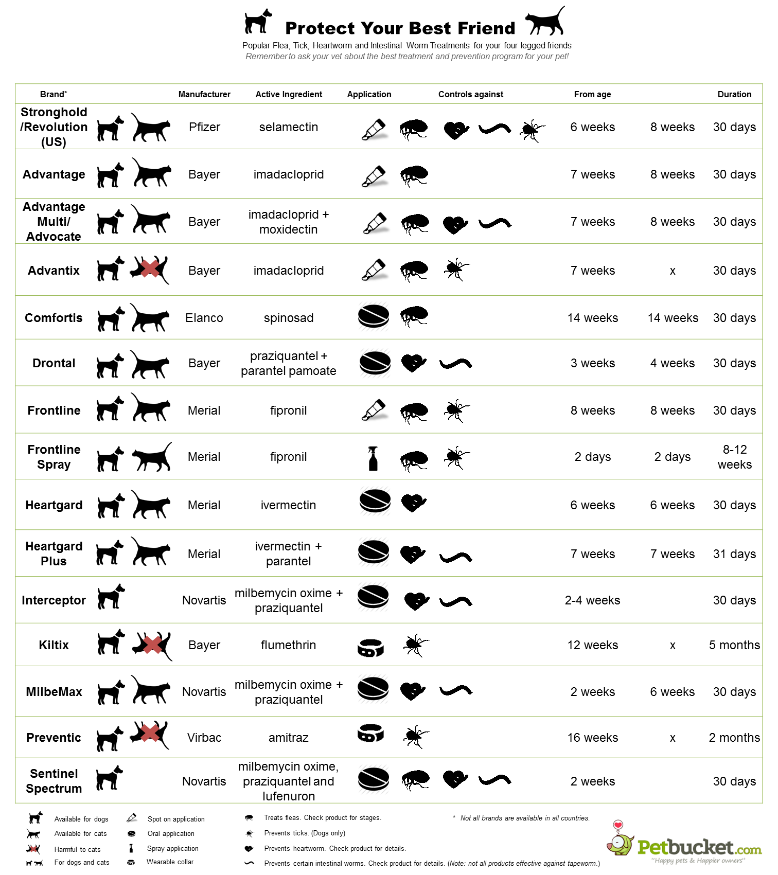 The Ultimate Pet Treatment INFOGRAPHIC