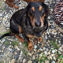 Angela M.