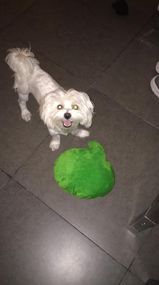 Pablo A.