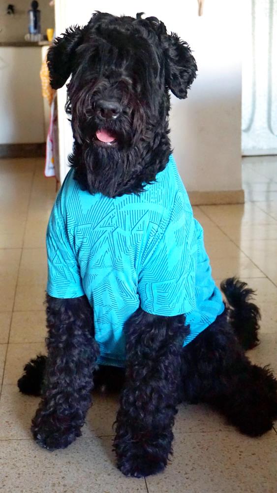 raffi r.