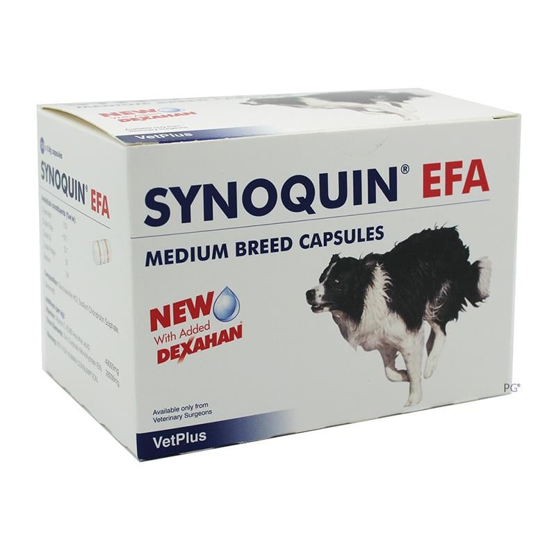 Synoquin EFA Capsules for Medium Dogs 20-50 lbs (10-25 kg) - 120 Pack