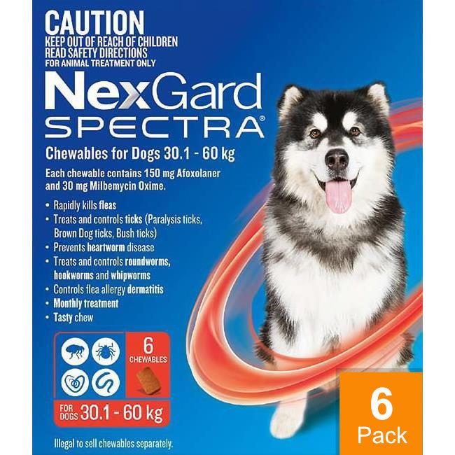 Nexgard Spectra XL 66 - 130 lbs (30 - 60 kg) - 6 pack