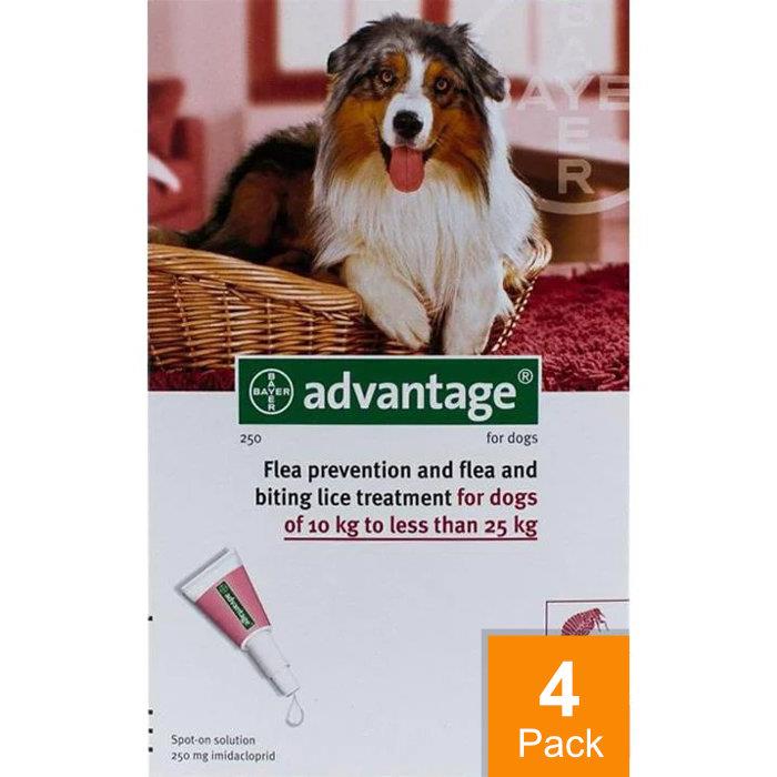 Advantage Red Dogs 22-55lbs (10-25kg) - 4 Pack