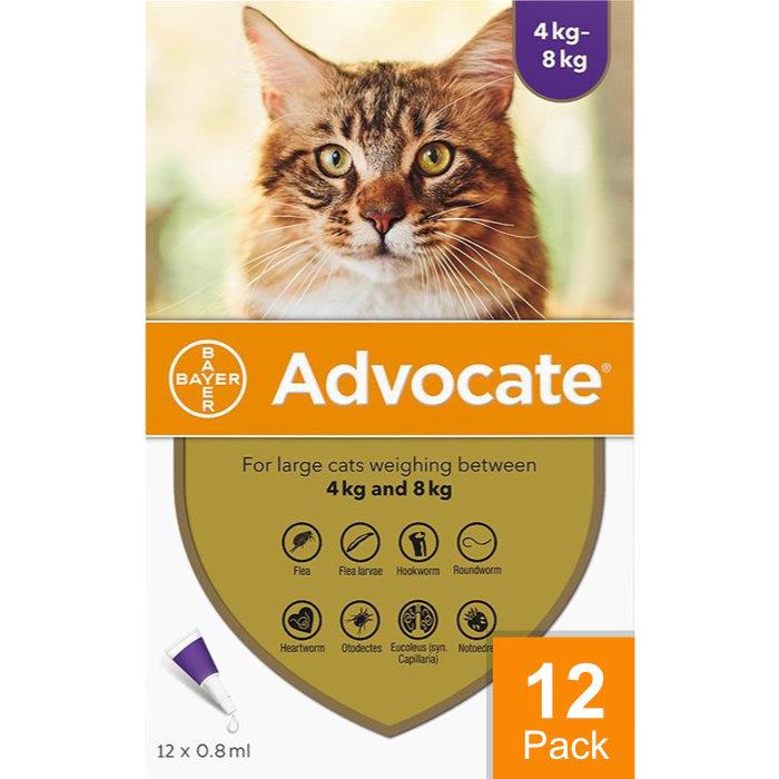 Advocate Cats Over 8.8lbs (4kg) - 12 Pack