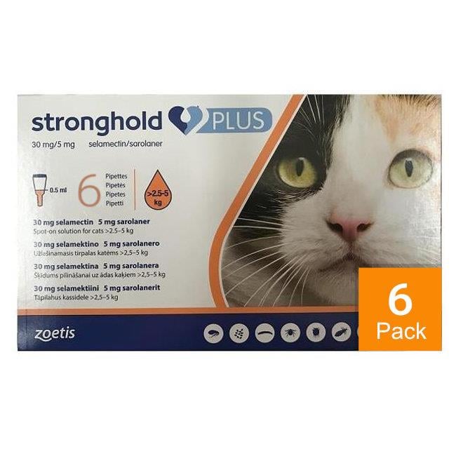 Stronghold Plus for Medium Cats 5.5 lbs to 11 lbs (2.5 kg to 5 kg) - 6 pack