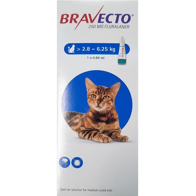 Bravecto Topical For Cats 6-14 lbs (2.8-6.25 kg)