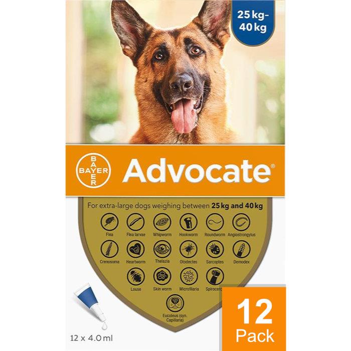Advocate Dogs Over 55lbs (25kg) - 12 Pack