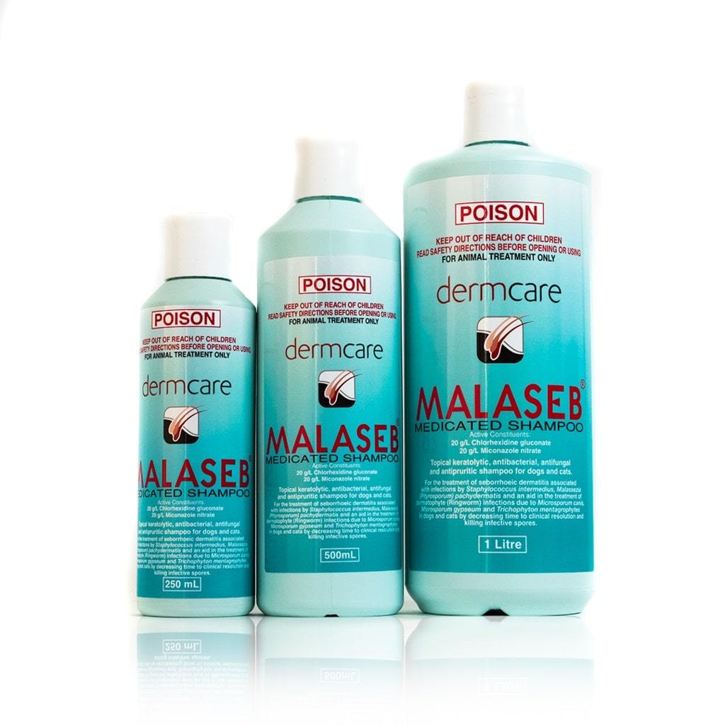 Dermcare Malaseb Medicated Shampoo For Dogs & Cats