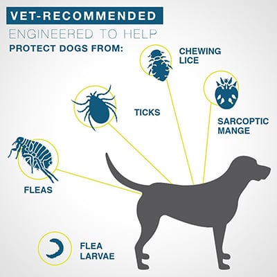 8 month protection seresto flea collars