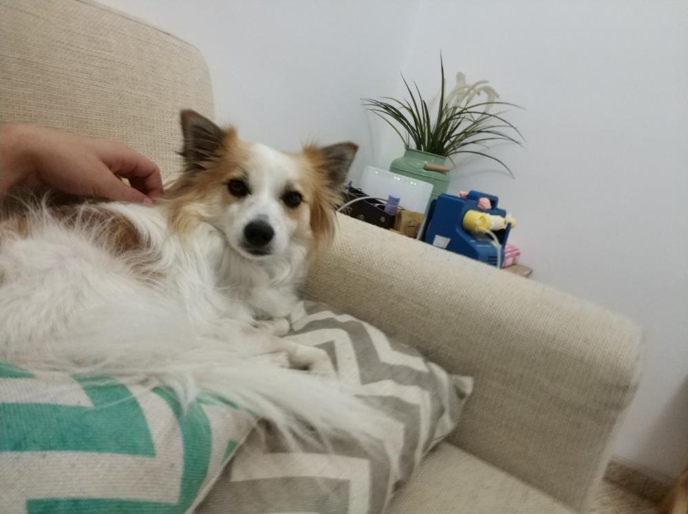 Customer review photo